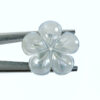 6pc Flower Beads White Mother Of Pearl 20mm Hand Carved WM-0156