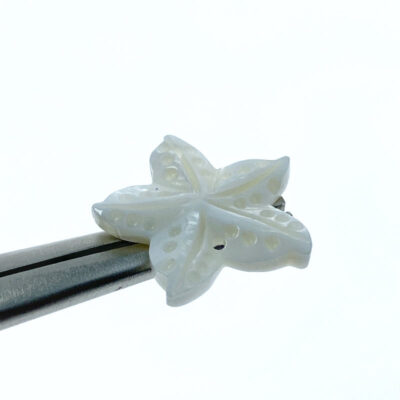 Alternative view of 6pc Starfish Connector Beads White Mother Of Pearl Pendants FWM-0002
