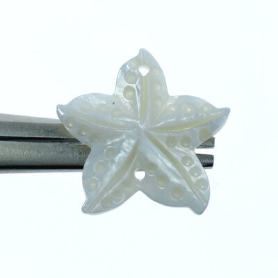 6pc Starfish Connector Beads White Mother Of Pearl Pendants FWM-0002