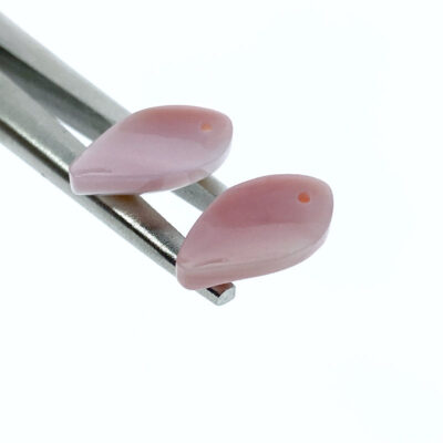 Alternative view of 6pc Flower Petal Beads Queen Conch Shell PM-0005