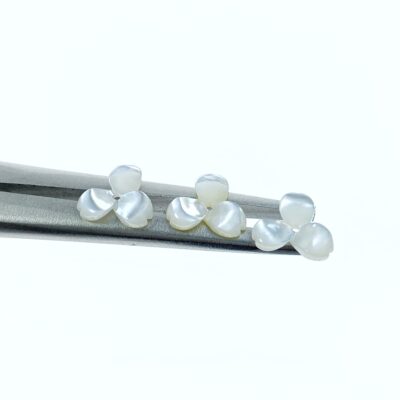 Alternative view of 10pc Flower Beads White Mother Of Pearl 10mm Hand Carved WM-0170