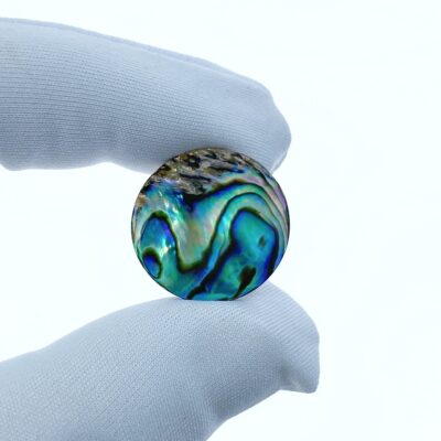 Alternative view of 6pc 20mm Natural Abalone Shell Round Disc Charms AB-0006