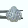 6pc 24mm x 25mm Hand Carved White Mother of Pearl Clam Shape Pendants
