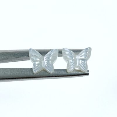 10pc Butterfly Beads White Mother Of Pearl 10mm WM-0091