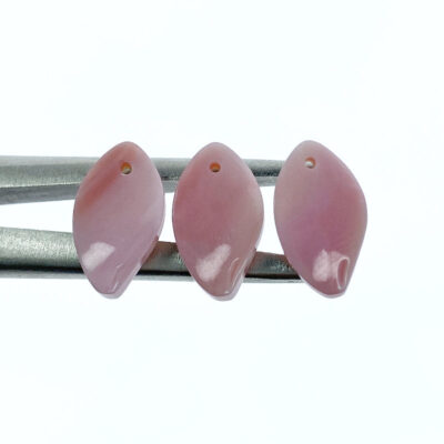 6pc Flower Petal Beads Queen Conch Shell PM-0005