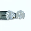 10pc Double Sided Clam Shell Beads White Mother Of Pearl 13mm Hand Carved WM-0107