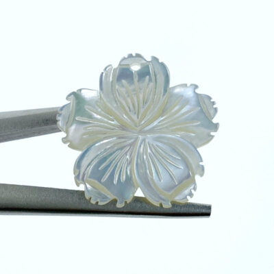 6pc Hawaiian Flower Beads Mother Of Pearl WM-0138